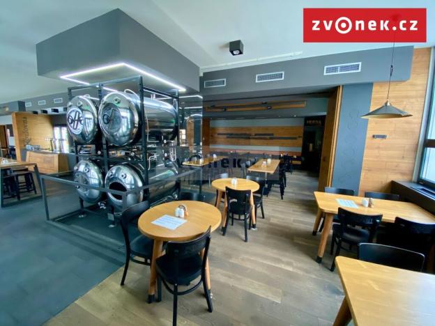 Prodej obchodního prostoru, Holešov, Novosady, 500 m2