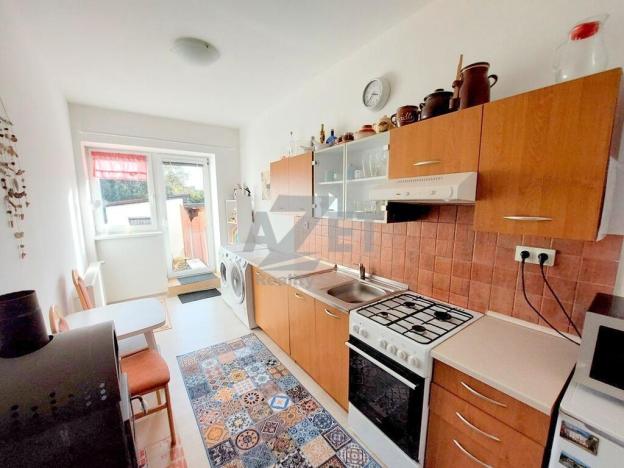 Prodej bytu 3+1, Krnov - Pod Bezručovým vrchem, Březinova, 177 m2