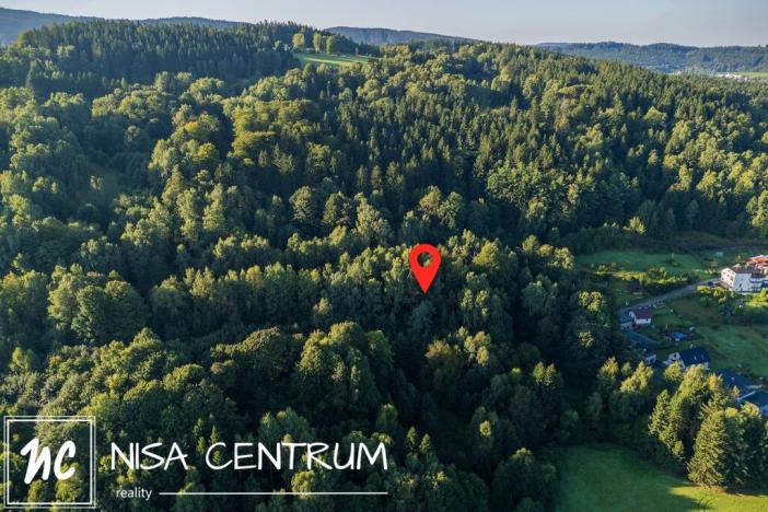 Prodej lesa, Nová Ves nad Nisou, 5031 m2