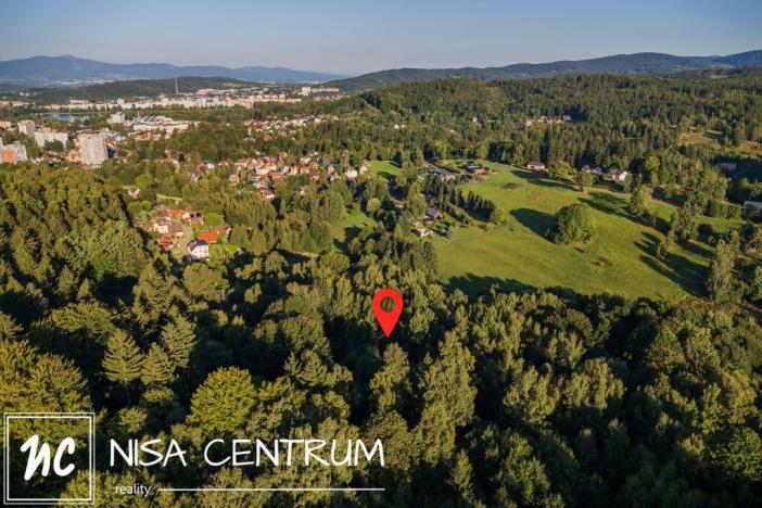 Prodej lesa, Nová Ves nad Nisou, 5031 m2