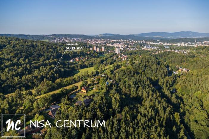 Prodej lesa, Nová Ves nad Nisou, 5031 m2