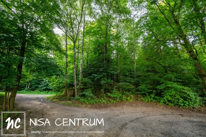 Prodej lesa, Jablonec nad Nisou - Jablonecké Paseky, 5031 m2