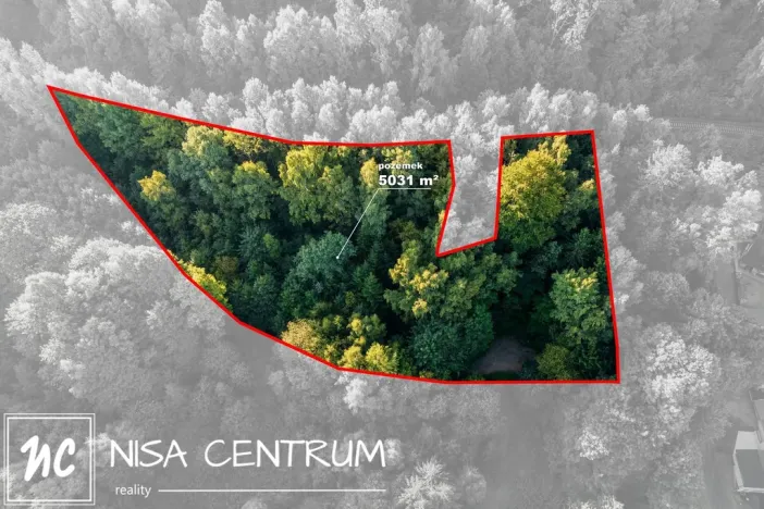 Prodej lesa, Jablonec nad Nisou - Jablonecké Paseky, 5031 m2