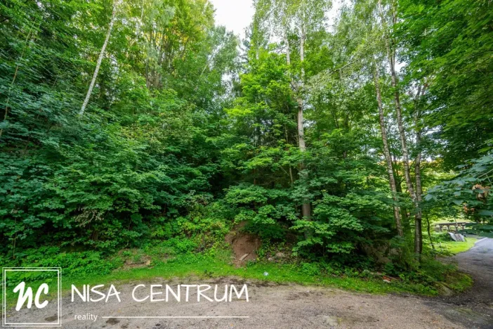 Prodej lesa, Jablonec nad Nisou - Jablonecké Paseky, 5031 m2