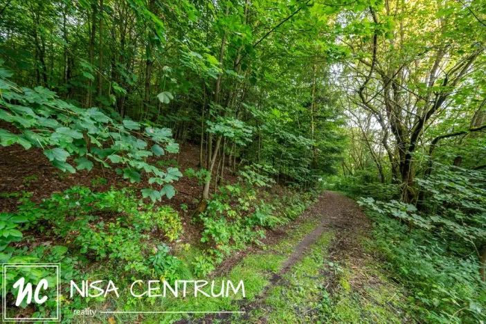 Prodej lesa, Jablonec nad Nisou - Jablonecké Paseky, 5031 m2