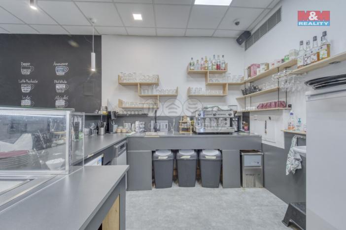 Pronájem obchodního prostoru, Třemošná, Plzeňská, 100 m2