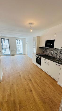 Prodej bytu 1+kk, Praha - Nové Město, Petrská, 56 m2