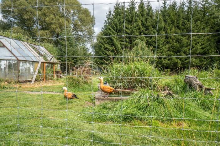 Prodej rodinného domu, Věšín - Buková, 80 m2