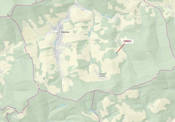 Dražba lesa, Zděchov, 1617 m2