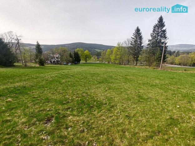 Prodej louky, Zdíkov - Masákova Lhota, 5869 m2