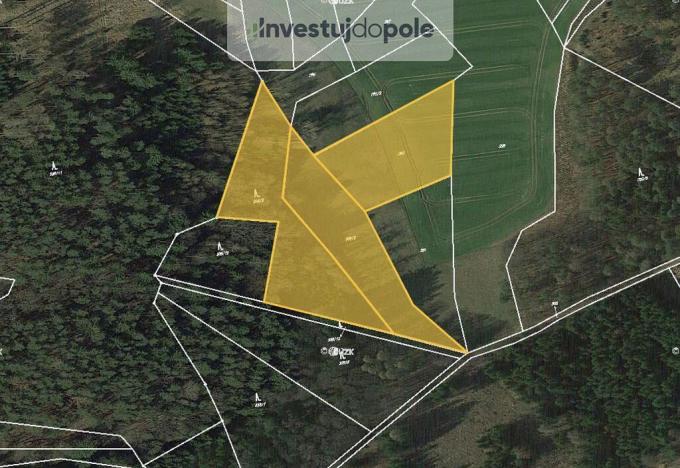 Prodej lesa, Hrazany - Klisinec, 2460 m2