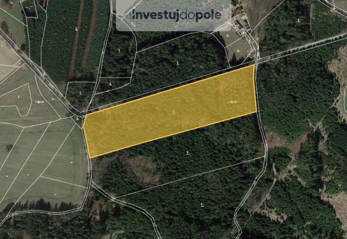 Prodej lesa, Milevsko - Klisín, 4100 m2