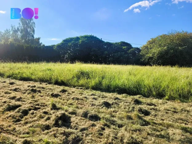 Prodej pozemku pro bydlení, Petrovice u Karviné - Dolní Marklovice, 1500 m2