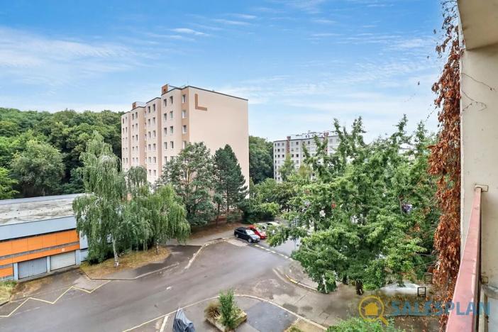 Prodej bytu 3+1, Praha - Hodkovičky, Pod lysinami, 80 m2