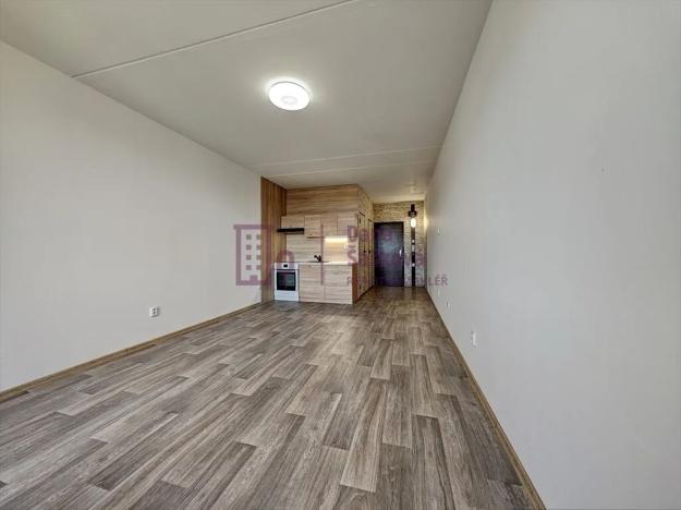 Pronájem bytu 1+kk, Jindřichův Hradec, Kosmonautů, 29 m2