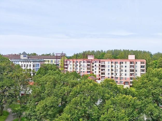 Pronájem bytu 1+kk, Jindřichův Hradec, Kosmonautů, 29 m2