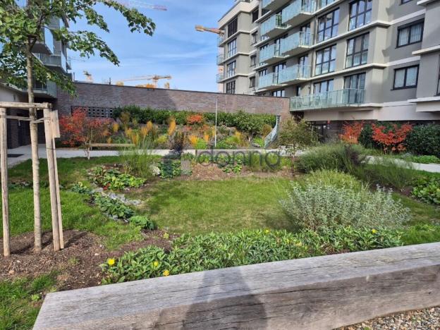 Pronájem bytu 3+kk, Praha, Thomasova, 87 m2