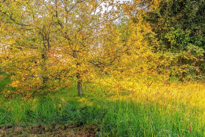 Prodej pozemku pro bydlení, Brodek u Konice, 1148 m2