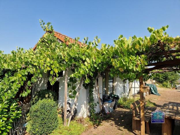 Prodej rodinného domu, Bor - Holostřevy, 184 m2