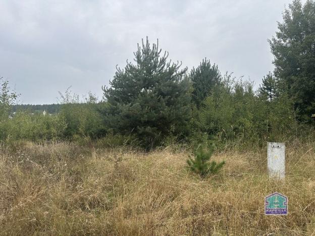 Prodej pozemku pro bydlení, Trnová, 1080 m2