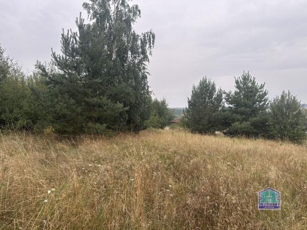 Prodej pozemku pro bydlení, Trnová, 1080 m2