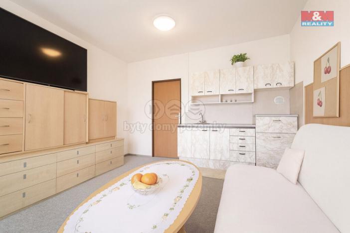 Prodej bytu 1+kk, Praha - Kobylisy, 23 m2