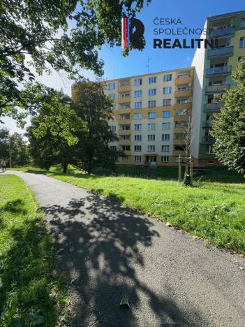 Prodej bytu 2+1, Sokolov, Švabinského, 59 m2