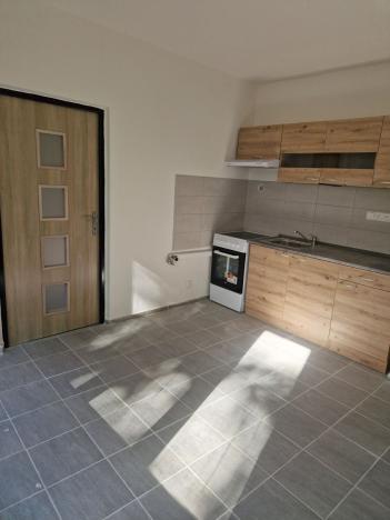 Pronájem bytu 1+1, Děčín - Děčín VI-Letná, 44 m2