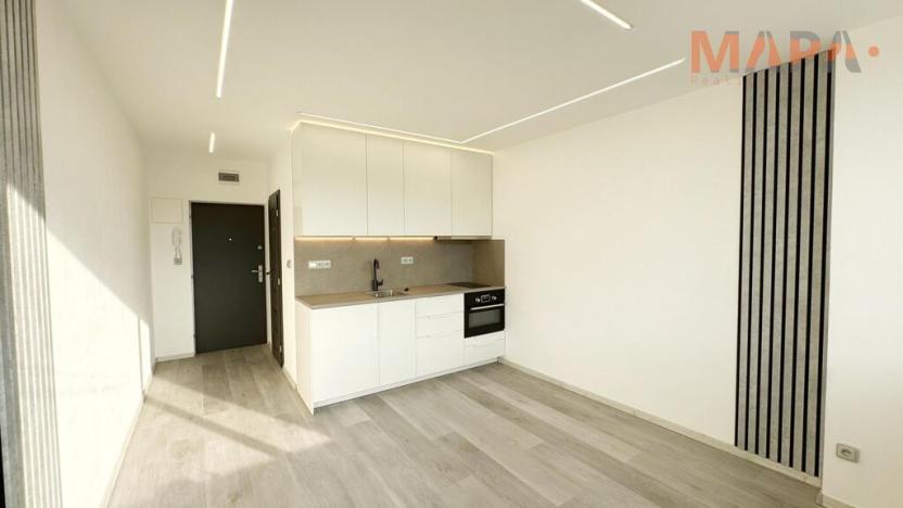 Pronájem bytu 1+kk, Chomutov, Havlíčkova, 21 m2