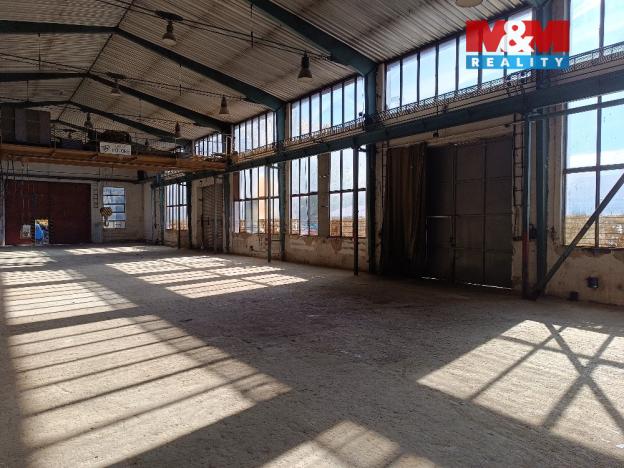 Pronájem výrobních prostor, Tochovice, 567 m2