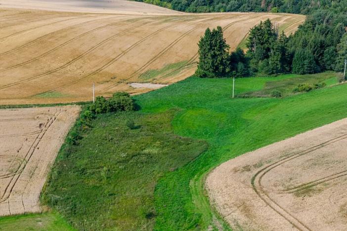 Prodej rybníku, Želetava, 5179 m2