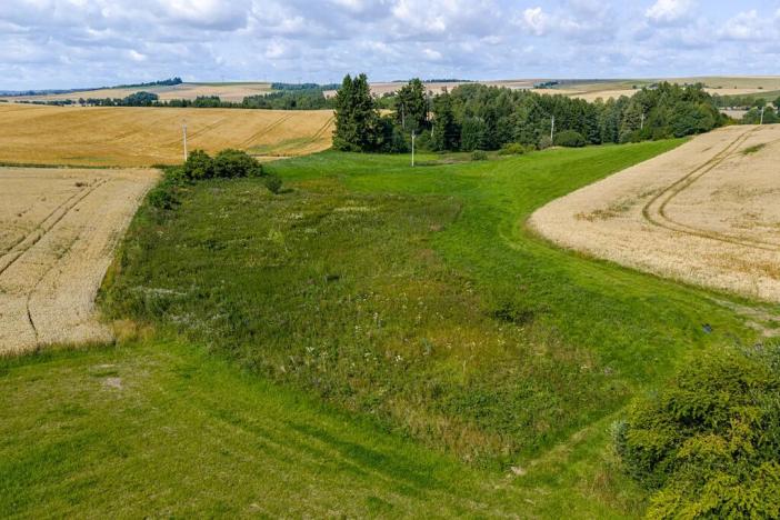 Prodej rybníku, Želetava, 5179 m2