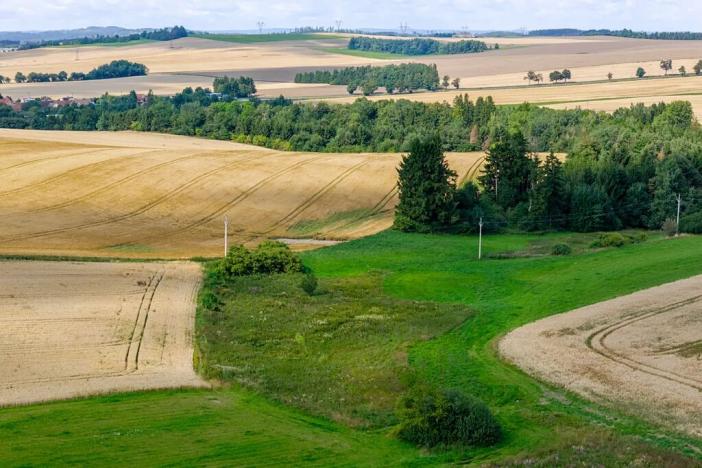 Prodej rybníku, Želetava, 5179 m2