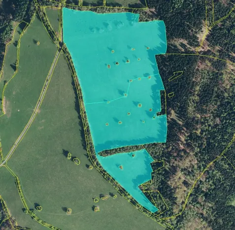 Prodej louky, Branná, 566375 m2