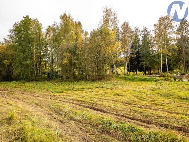 Pronájem pozemku pro bydlení, Zdíkov, 1858 m2