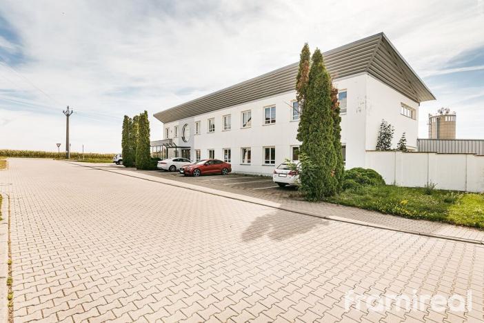 Pronájem výrobních prostor, Suchohrdly, Napoleonova, 4030 m2