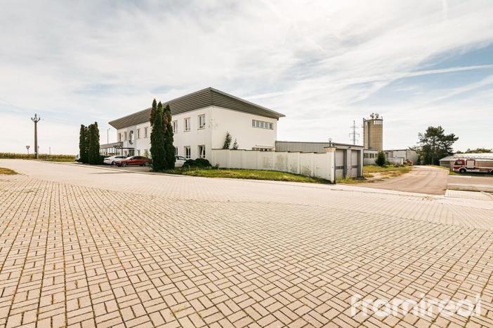 Pronájem výrobních prostor, Suchohrdly, Napoleonova, 4030 m2