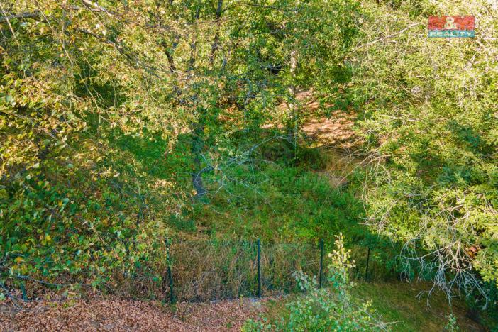 Prodej pozemku pro bydlení, Plasy, 685 m2