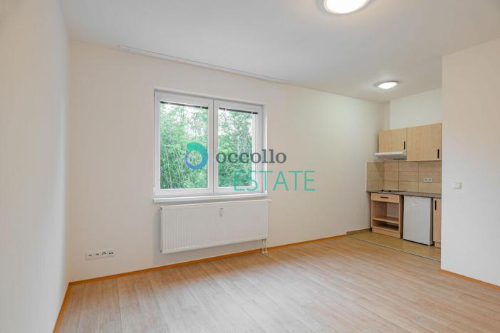 Pronájem bytu 1+kk, Otvovice, 29 m2