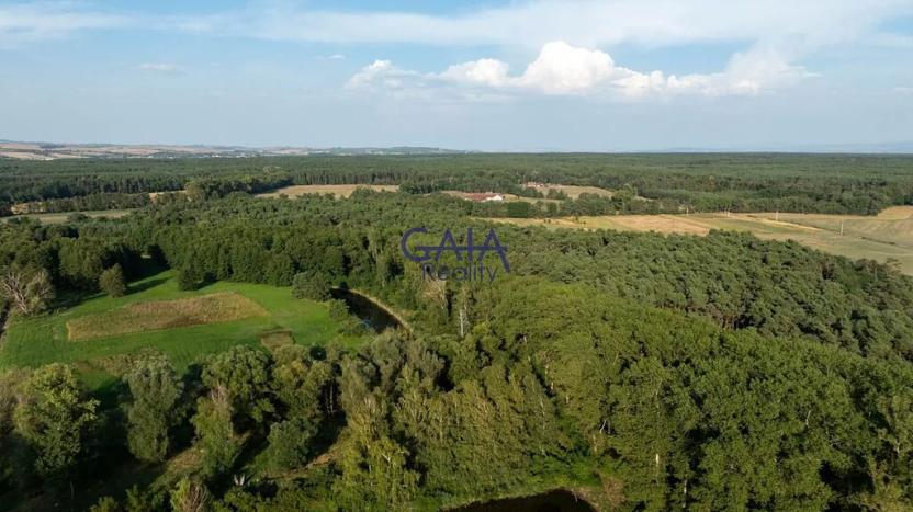 Prodej obchodního prostoru, Vacenovice, Dolní Konec, 692 m2