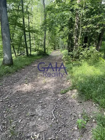 Prodej lesa, Ždánice, 3224 m2