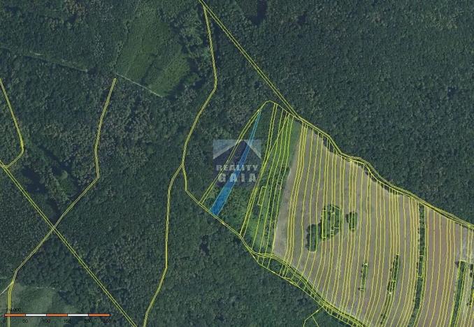 Prodej lesa, Ždánice, 3224 m2