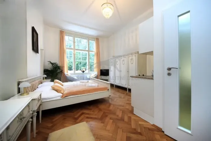 Pronájem bytu 1+kk, Praha - Josefov, Široká, 24 m2