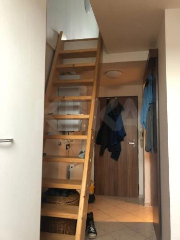 Pronájem bytu 2+kk, Plzeň - Jižní Předměstí, Borská, 49 m2