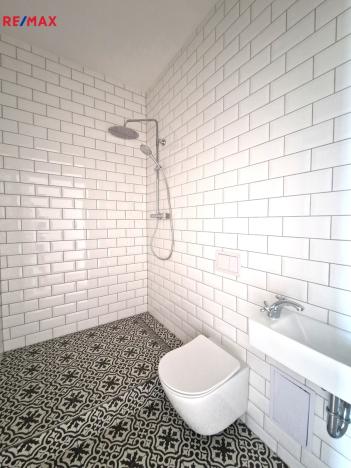 Pronájem bytu 6+kk a větší, Praha - Braník, Branická, 335 m2