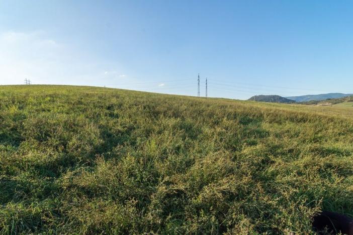 Prodej pozemku pro bydlení, Bystřany - Úpořiny, 14443 m2