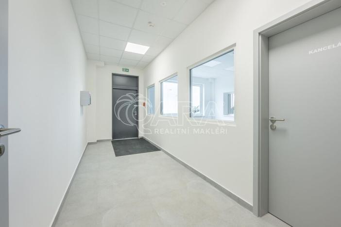 Pronájem skladu, Divišov, 2398 m2