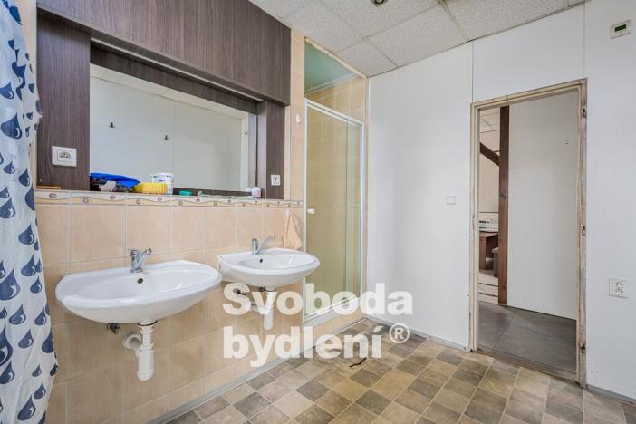 Prodej výrobních prostor, Srbice, 879 m2