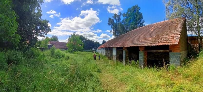 Prodej zemědělské usedlosti, Mišovice, 580 m2
