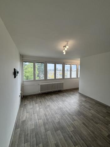 Pronájem bytu 1+kk, Hradec Králové, Severní, 28 m2